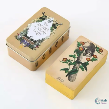 The Antique Anatomy Tarot – Illustrated Deck with Guidebook