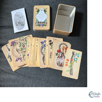 The Antique Anatomy Tarot – Illustrated Deck with Guidebook