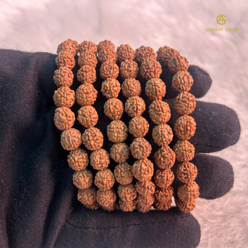 Natural 5 MUKHI RUDRAKSHA BRACELET